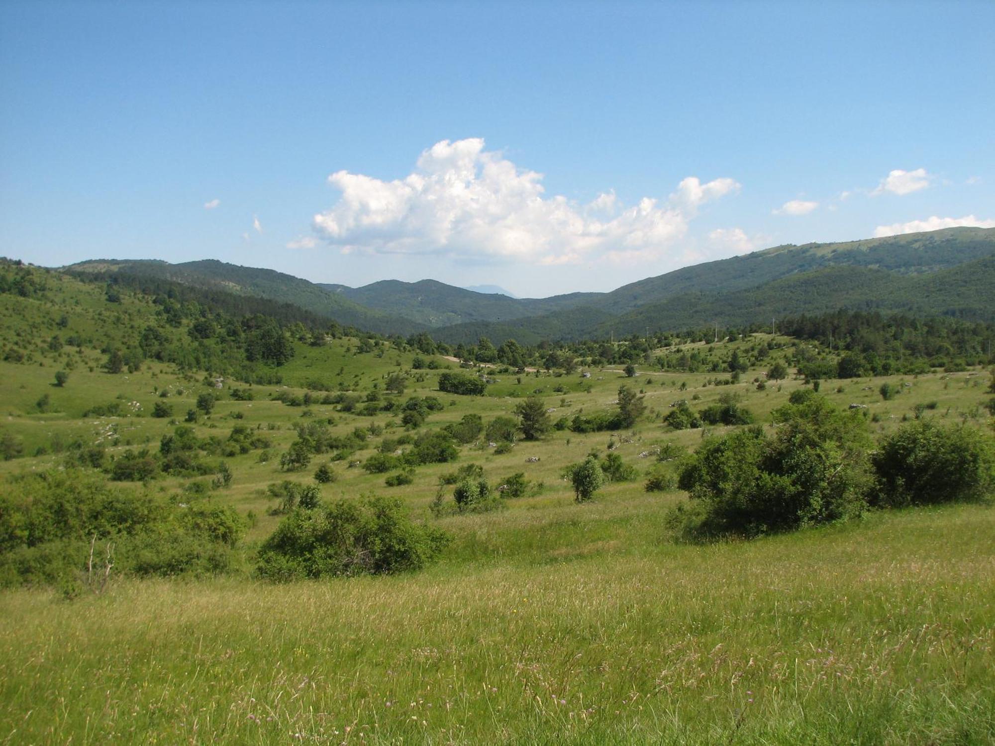 Guest House Pod Slavnikom Podgorje  Εξωτερικό φωτογραφία